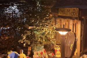 В Германии садовник получил штраф в 3000 евро за установку ёлки у детского сада