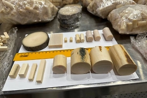 Китаец пытался вывезти из России 40 кг бивней шерстистого мамонта