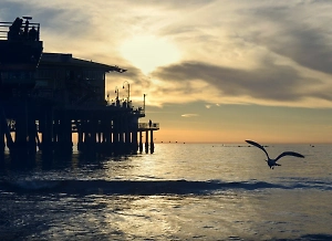 Финляндия «‎взяла на абордаж» нефтяной танкер за обрыв кабелей на дне Балтике