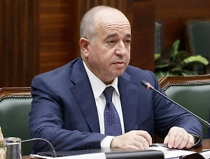 МВД Армении: Задержанного в Москве Аршака Карапетяна отпустили под подписку