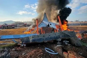 «Фатальное сочетание» оборвало жизни 179 человек в упавшем самолёте в Южной Корее