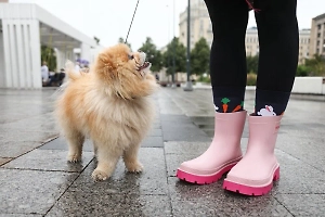 Синоптик поделился дождливым прогнозом на лето 2024 года