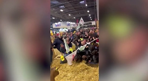 В Париже протестующие фермеры прорвали оцепление выставки, где находился Макрон