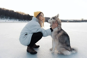 Собачникам рассказали, можно ли научить питомца понимать разные языки