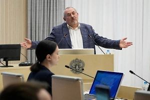 Эксперт объяснил, кто подставил Надеждина при сборе подписей