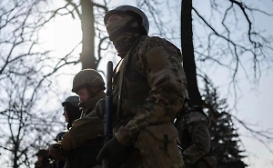 В ЛНР при эксгумации тел украинских военных нашли телефон с детским порно