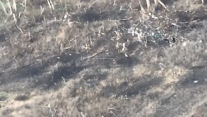 В Минобороны рассказали о захвате опорника ВСУ на Артёмовском направлении