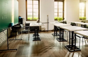 Школы в Коми закрываются на карантин из-за вспышки менингита