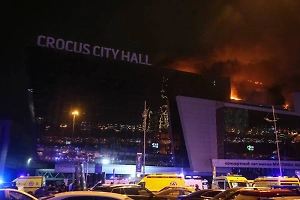 СМИ узнали, почему США скрыли от России часть данных об угрозе теракта в "Крокусе"
