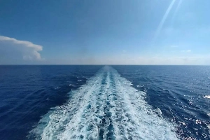 СМИ узнали об обещании хуситов не нападать на российские корабли в Красном море