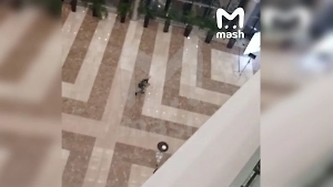 Минимум 10 человек погибли при стрельбе в Crocus City Hall