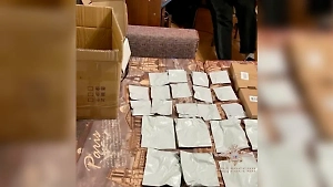 Раскрыта схема петербурженки по сбыту наркотиков через Ozon