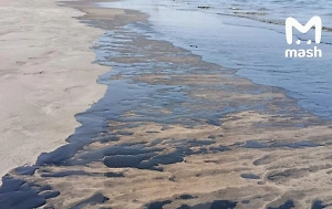 «Запах ощущается даже за 5 км»: Российские туристы жалуются на разлив нефти в ОАЭ