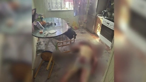 Кровь и следы борьбы: Появились первые кадры с места убийства москвича 15-летней дочкой