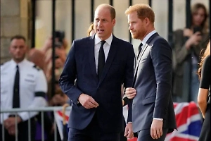 Принц Уильям распёк брата за тайную поездку на Украину, но «русский кулич» тут ни при чём