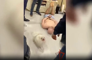 Маленький шпиц вступил в бой с росгвардейцами ради защиты хозяина-вора – забавное видео