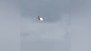 Самолёт в США экстренно сел из-за возгорания двигателя, в который попал кролик