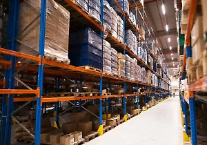 Экономист раскрыл, чего ждать от решения сократить ввоз иностранных товаров в РФ