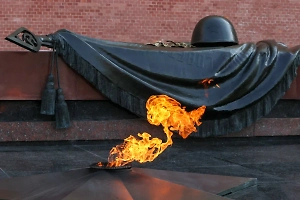 Росмолодёжь высадит 27 млн деревьев в память о погибших в годы ВОВ
