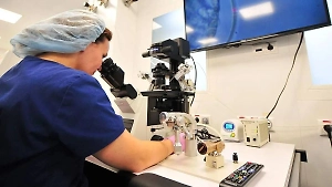 В Москве оценили итоги первой в России программы по поддержке рождаемости