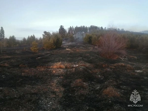 В Забайкалье решили ограничить передвижение граждан из-за пожаров