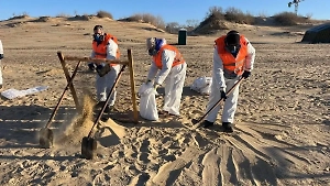 Роспотребнадзор признал непригодными 150 пляжей Анапы и Темрюка