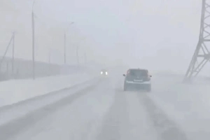 «Нормальная такая весенняя погода»: Новосибирск засыпало снегом перед Пасхой