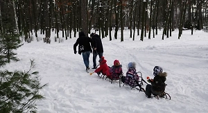 Многодетные семьи смогут бесплатно ходить в парки и музеи в любые дни