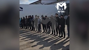 Силовики вывезли 20 нелегалов с овощебазы российского миллионера Рашада Гасанова