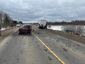 В Ивановской области в страшном ДТП погибли три человека, пострадали двое детей