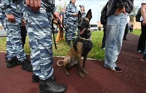 Выходцы из Средней Азии готовили теракт по заказу Киева на нижегородском заводе 