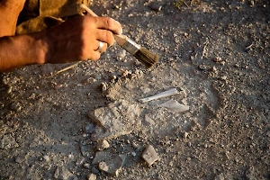 В Перу раскопали могилу аристократки, жившей пять тысячелетий назад