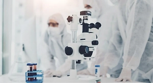 На основе водорослей и европия: Российские учёные разработали новый способ лечения рака