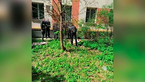 Целились в сердце: Под окна ногтевой студии в Москве подбросили убитую африканку