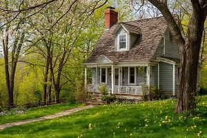 Одеяла и подушки: Дачникам рассказали, как защитить растения от весенних заморозков