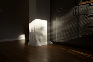 Житель Японии 2 года прятал тело отца в шкафу, чтобы не платить за похороны