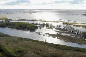 Ишим наступает: В Тюменской области прогнозируют, что паводок превысит уровень 2017 года