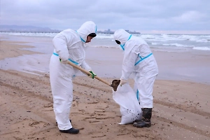 Волонтёры начали первыми: Краснов раскритиковал МЧС за бездействие после ЧП с танкерами на Кубани