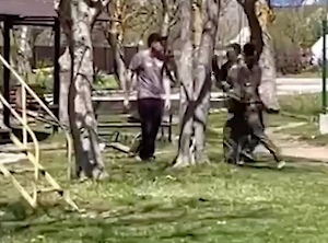 В Крыму пьяный мотоциклист напал с ножом на прохожего из-за замечания про собаку