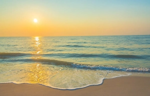 Золото или мазут: Опубликована обновлённая карта чистых и токсичных пляжей Чёрного моря