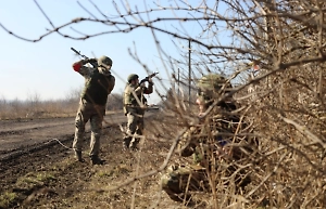 Госдума приняла поправку о статусе ветерана для добровольцев в Курской области