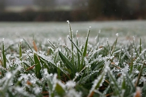 Москвичей предупредили о заморозках в майские праздники
