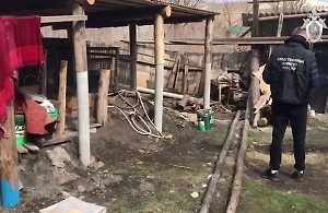 Одна дома: Убитая под Ульяновском девочка была идеальной жертвой для «кровавых братьев»