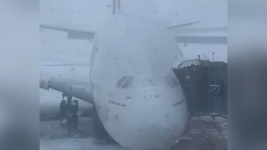 В Москве из-за апрельского снегопада несколько сотен пассажиров застряли в аэропорту