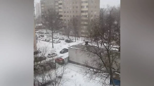 Циклон «Зион» принёс в Москву зиму: За ночь выпала почти половина от месячной нормы осадков