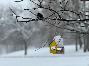 Психолог дал 3 совета, как справиться с рабочей неделей, если зима началась второй раз в году