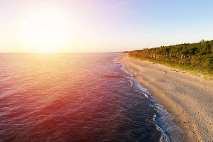 Названы самые популярные направления внутреннего туризма в России