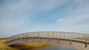 Женщину с ребёнком сдуло с «танцующего» моста в Забайкалье, мальчика удалось спасти