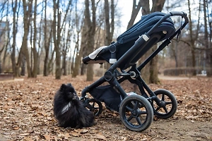 В России отчитались о росте числа многодетных семей