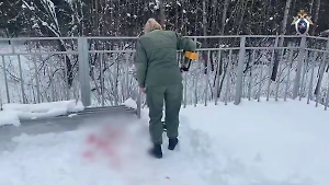 СК опубликовал видео с места убийства 10-летнего мальчика в Дмитрове